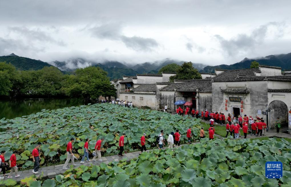 新威尼斯在线